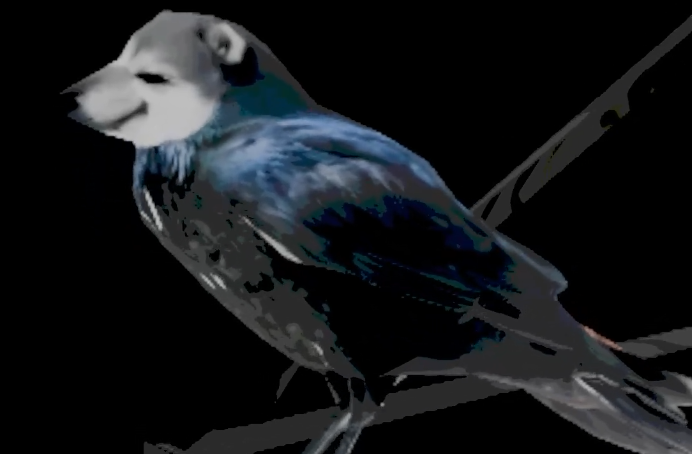 The Crowm video thumbnail